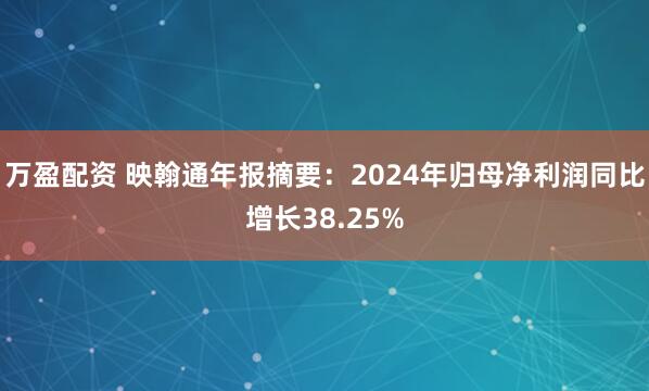 万盈配资 映翰通年报摘要：2024年归母净利润同比增长38.25%