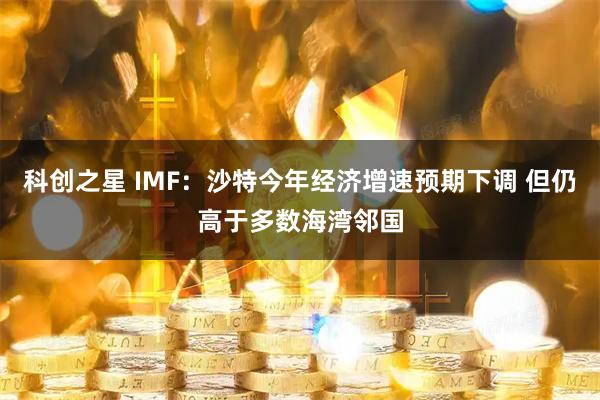 科创之星 IMF：沙特今年经济增速预期下调 但仍高于多数海湾邻国